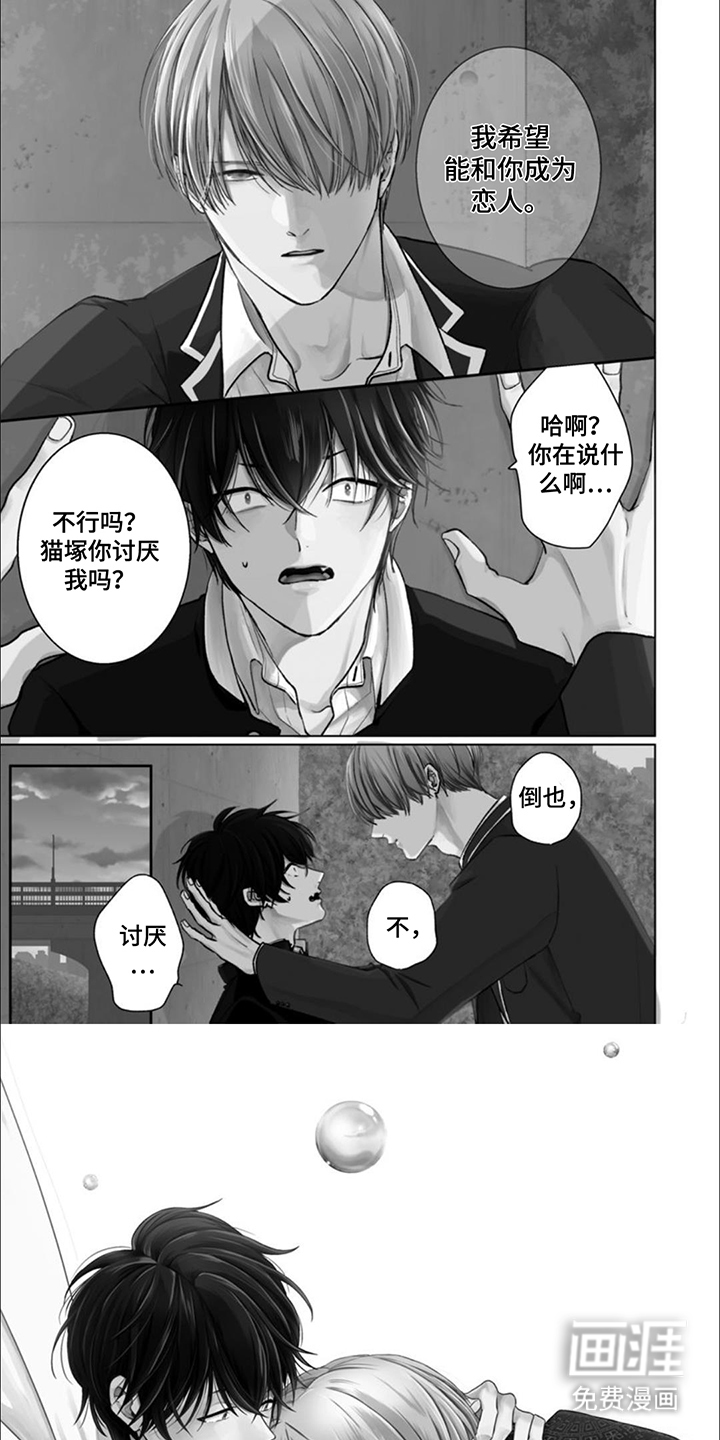 猫与蛇第1话图