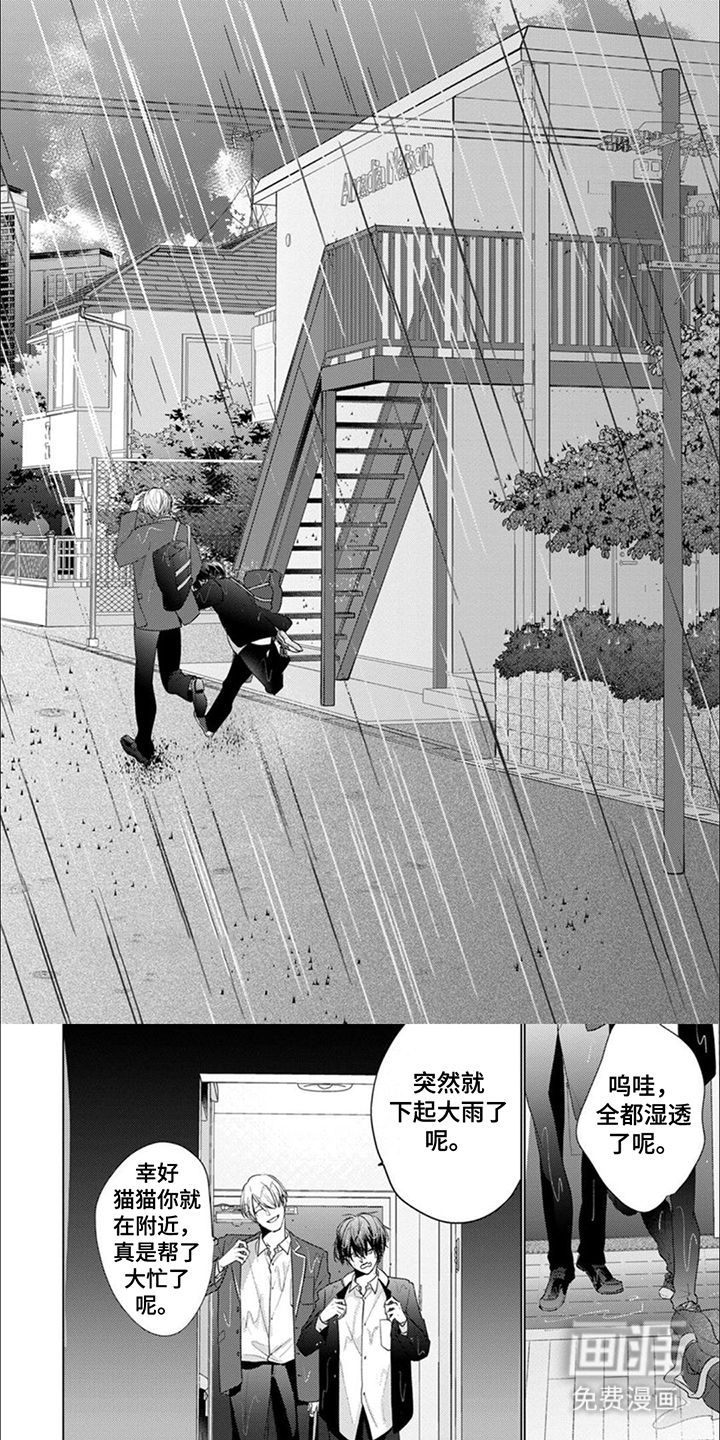 猫与蛇第5话图