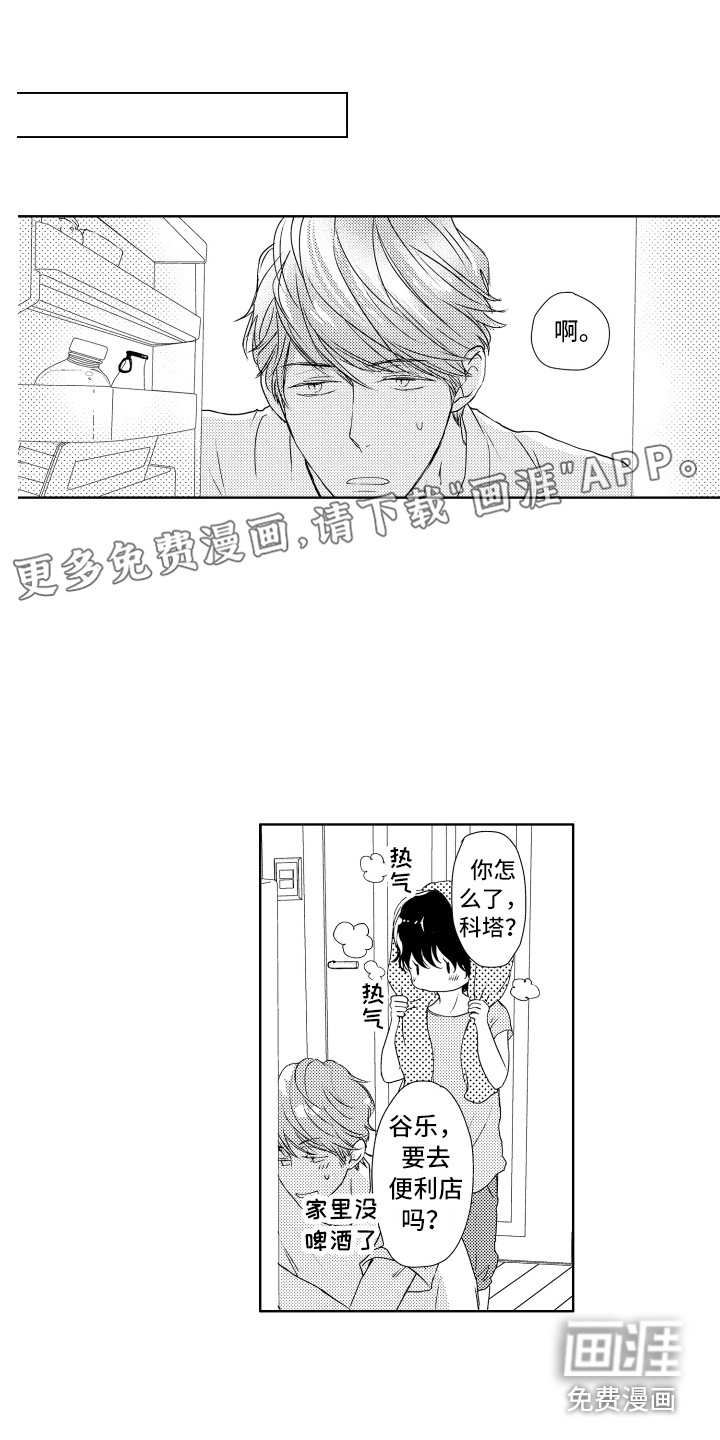 猫的归宿第11话图