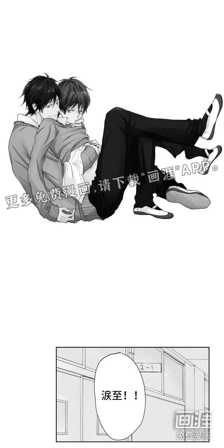 猫的归宿第14话图