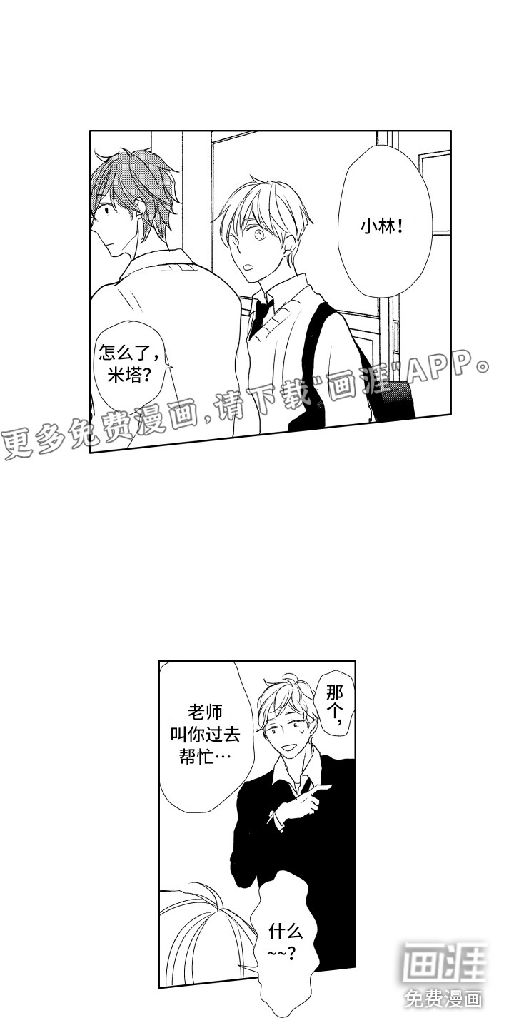 猫的归宿第16话图