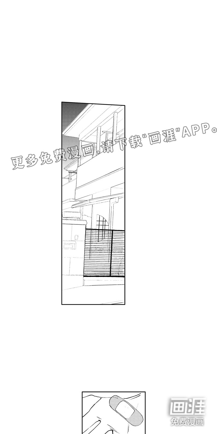 猫的归宿第17话图