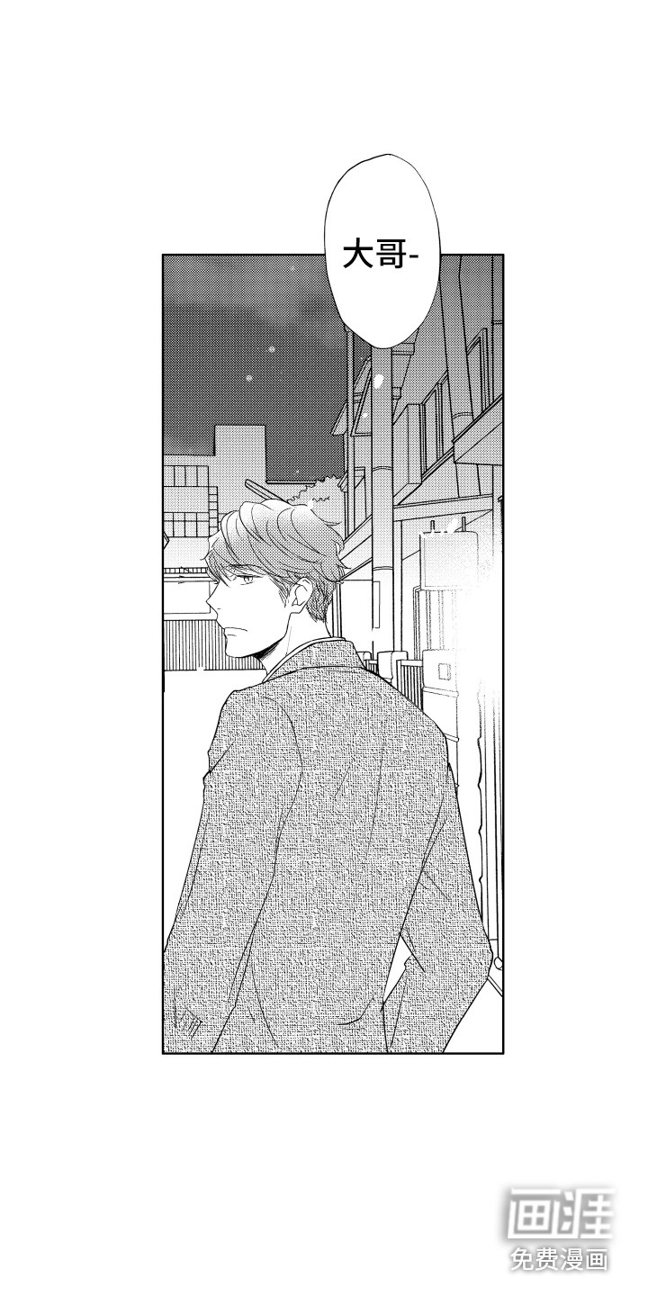 猫的归宿第19话图