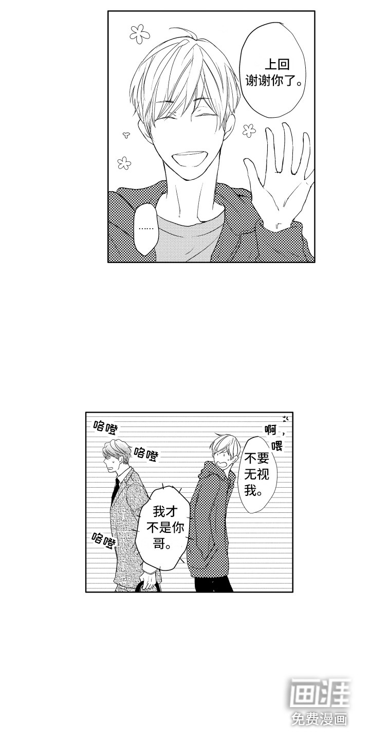 猫的归宿第19话图