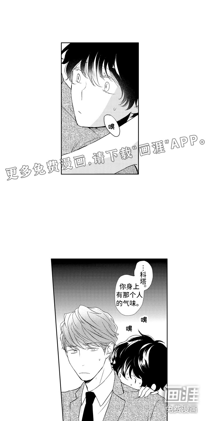 猫的归宿第20话图