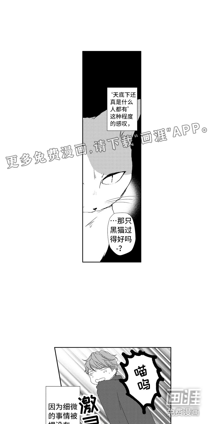 猫的归宿第21话图