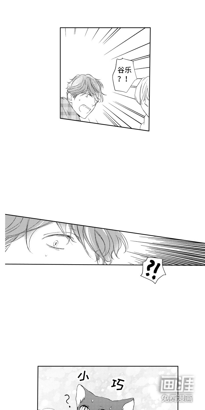 猫的归宿第22话图