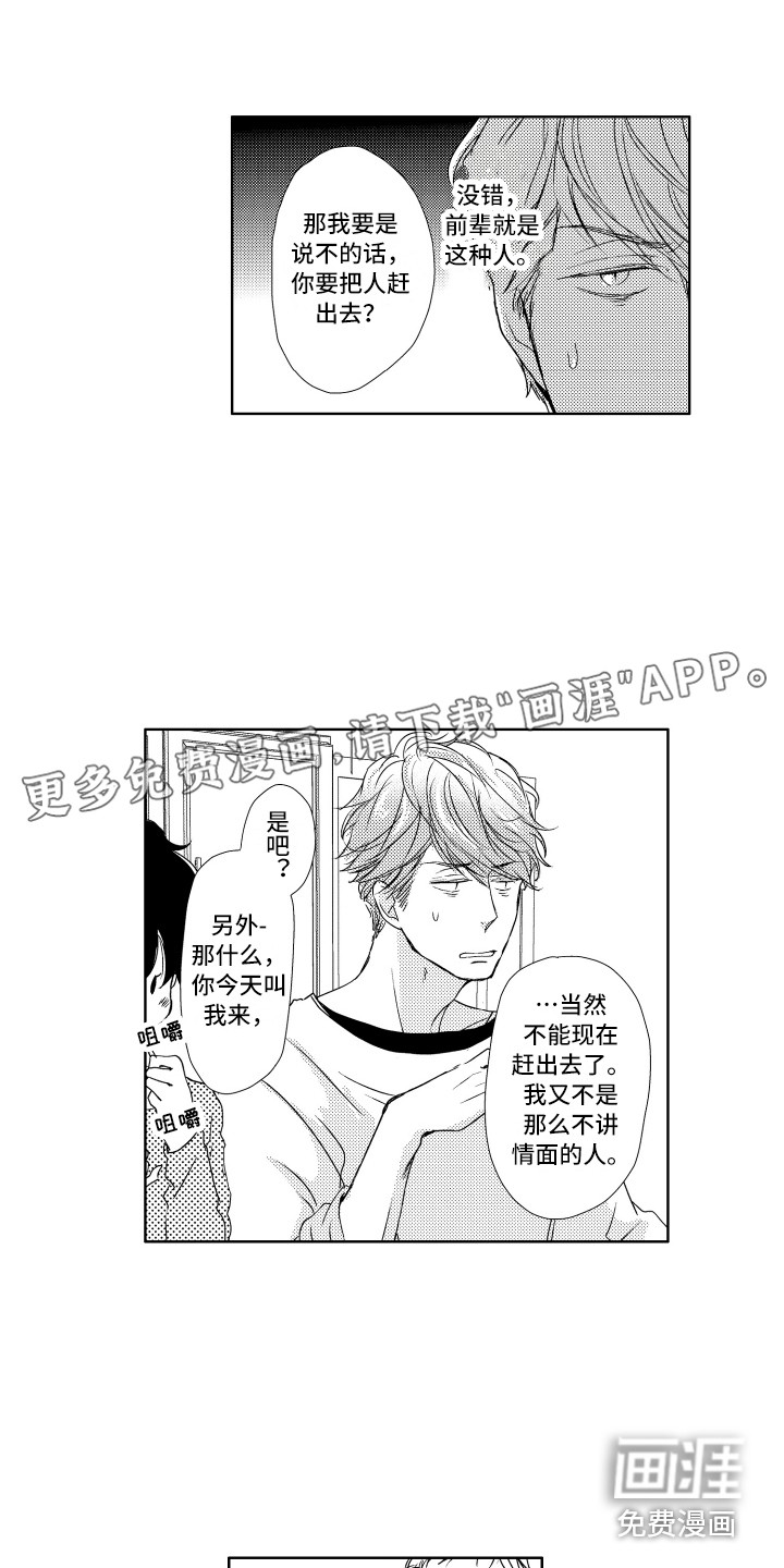 猫的归宿第6话图