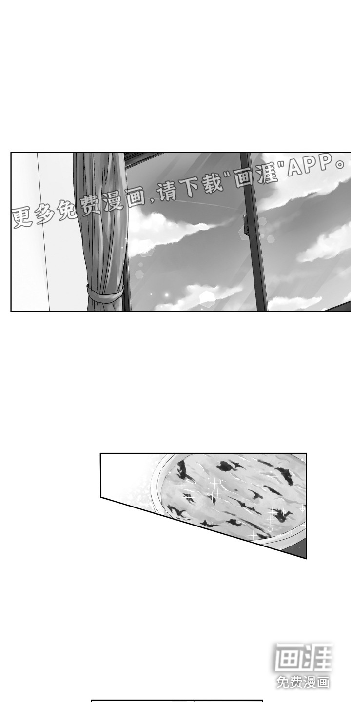 猫的归宿第8话图