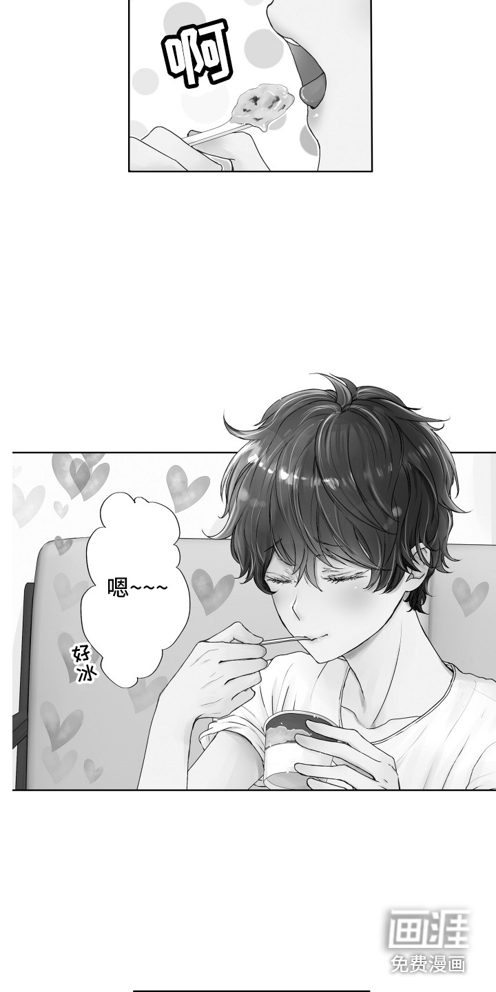 猫的归宿第8话图