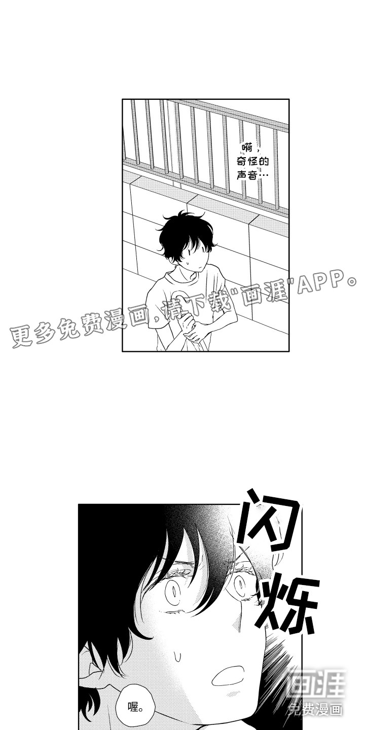 猫的归宿第9话图