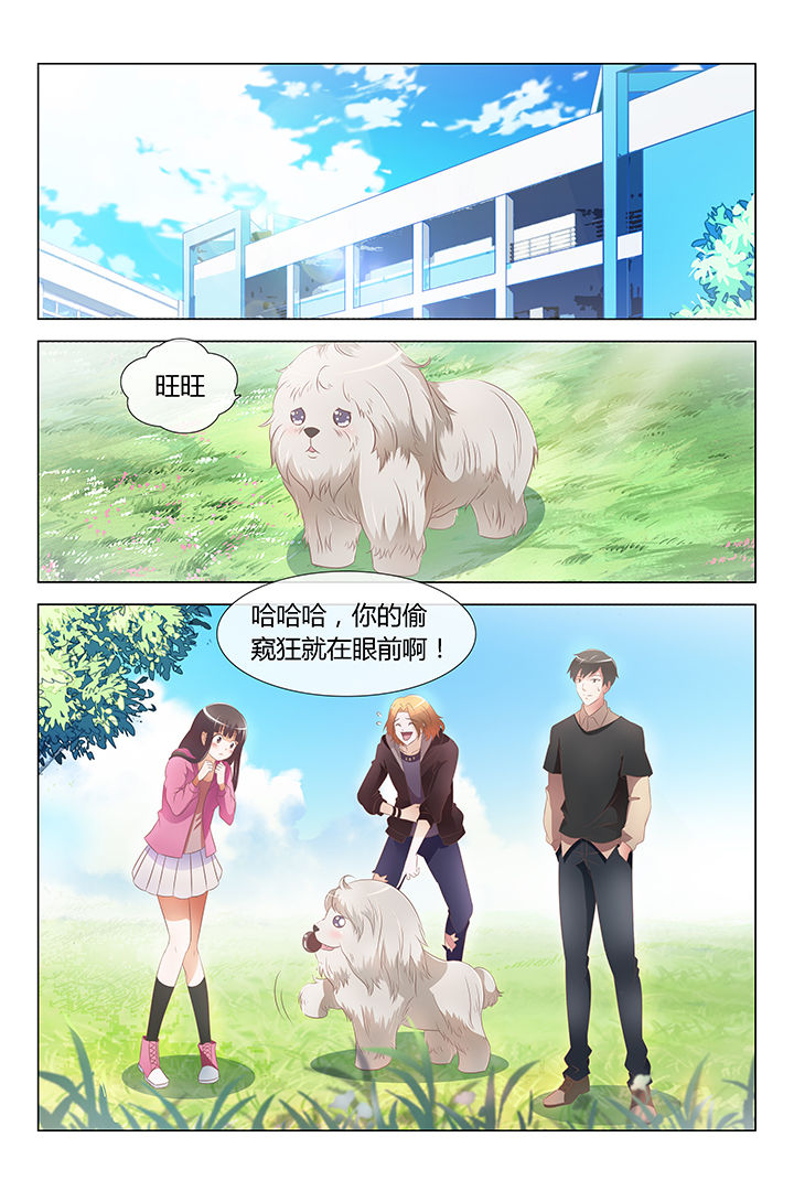 美少女是过敏源第12话图