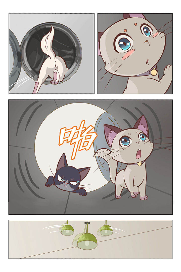 喵即正义第1话图