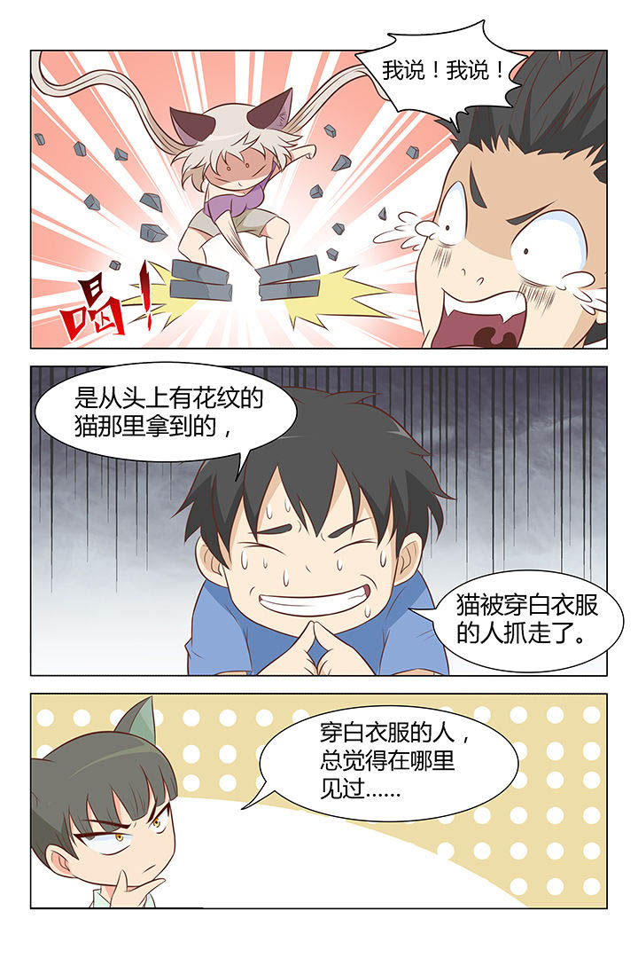 喵即正义第11话图