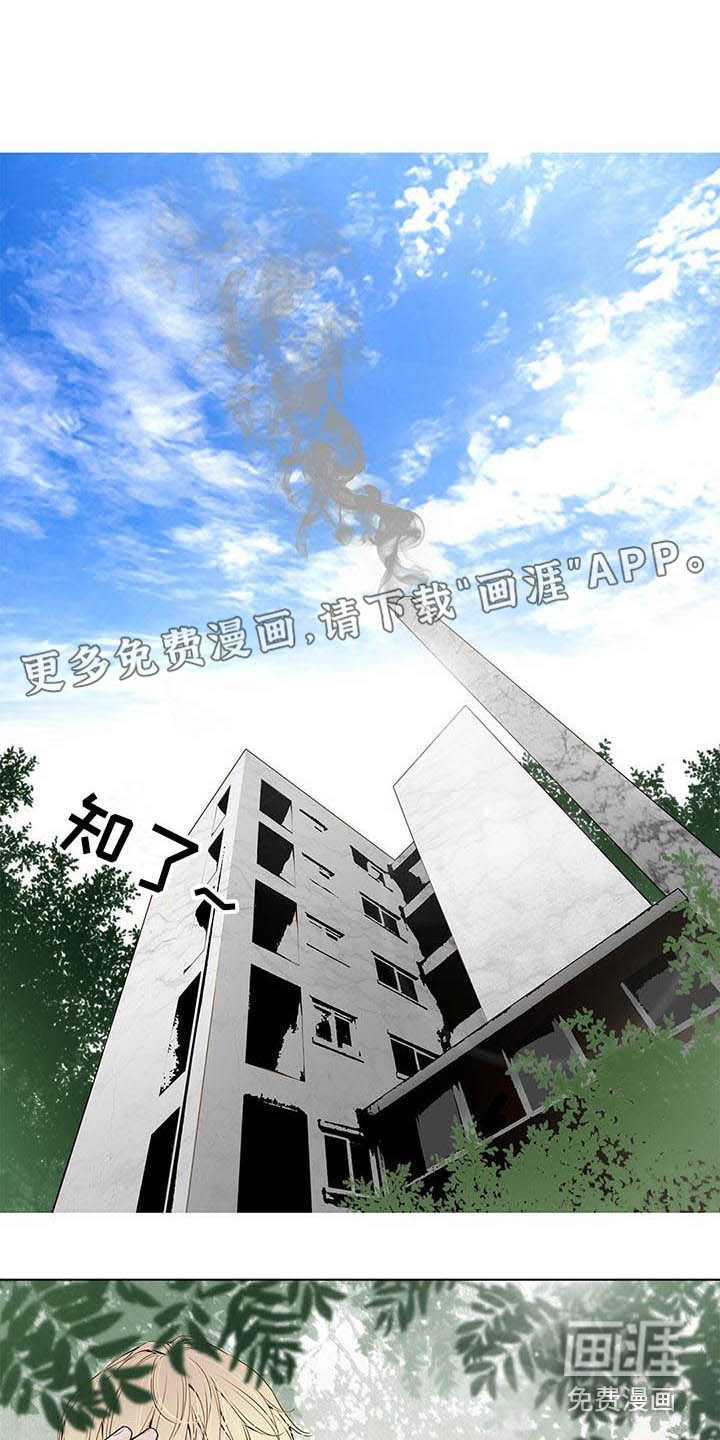 美味佳肴第14话图