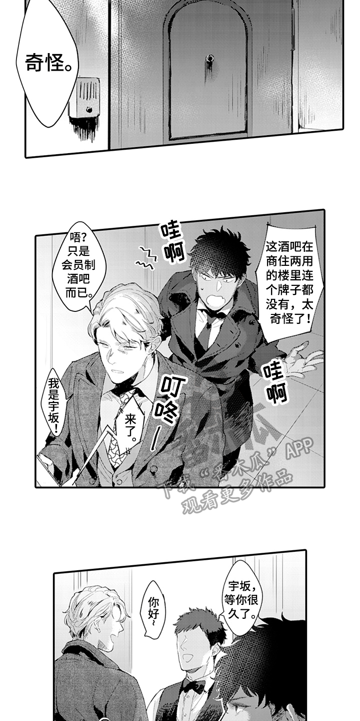 秘密模特第17话图