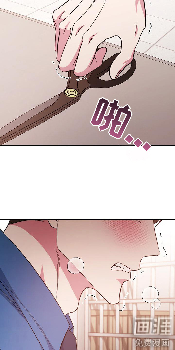 梦幻应用程序第23话图