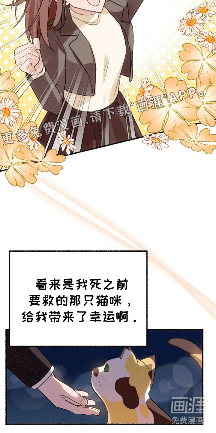 喵喵与暴君同眠第1话图