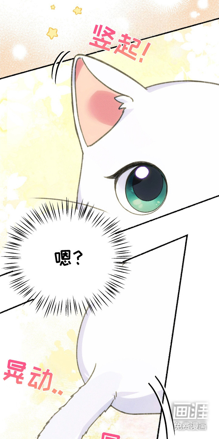 喵喵与暴君同眠第1话图