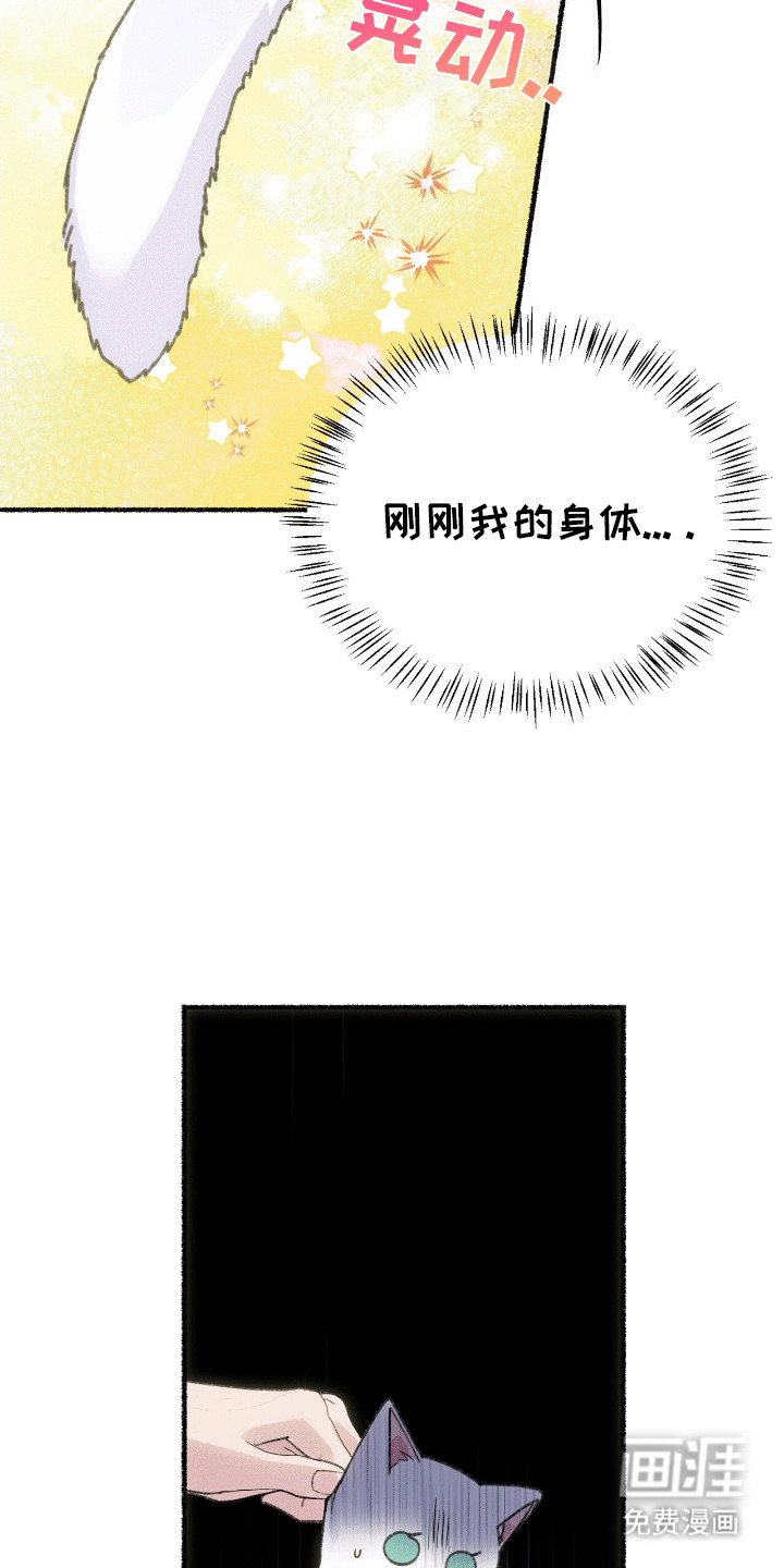 喵喵与暴君同眠第1话图