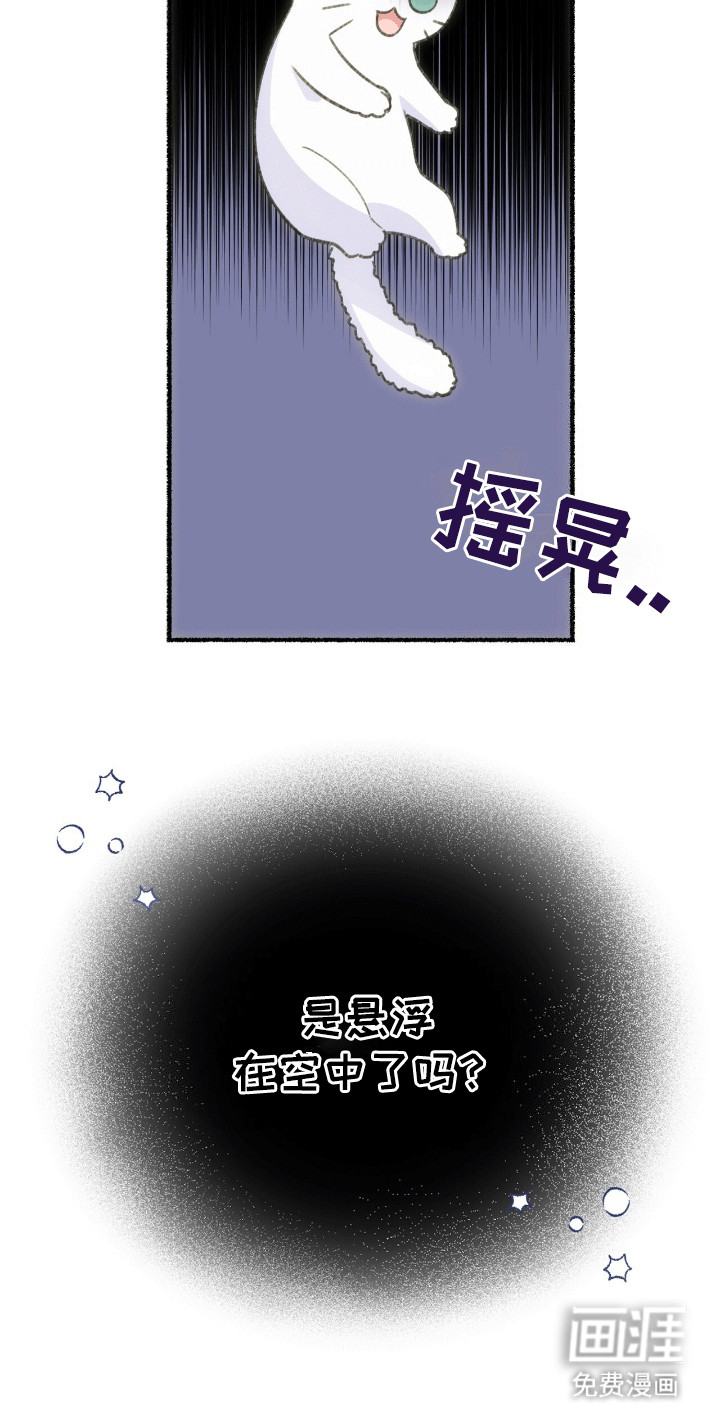 喵喵与暴君同眠第1话图