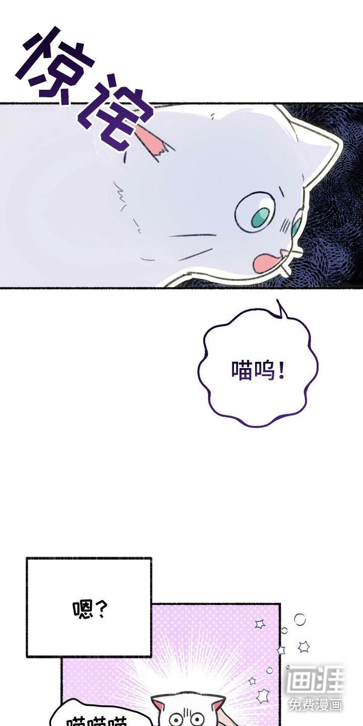 喵喵与暴君同眠第1话图