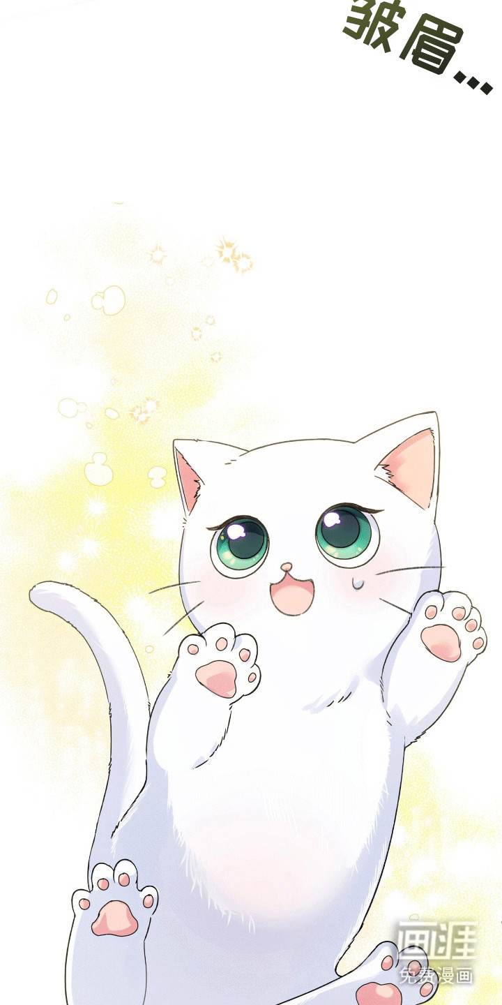 喵喵与暴君同眠第1话图