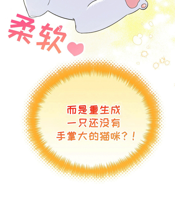 喵喵与暴君同眠第1话图