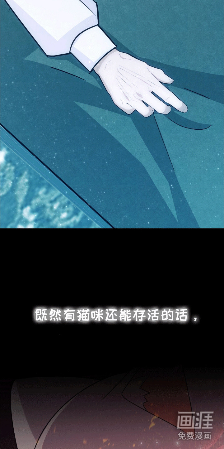 喵喵与暴君同眠第11话图