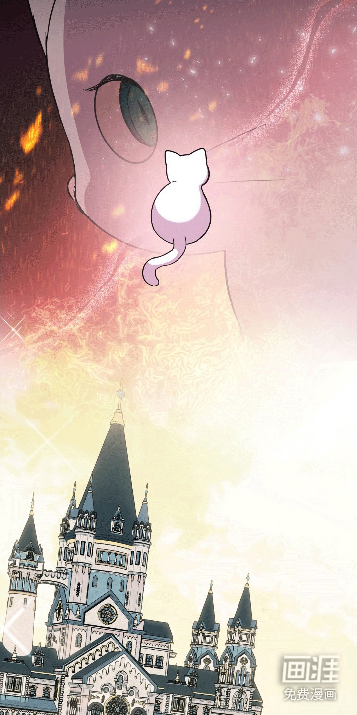 喵喵与暴君同眠第11话图