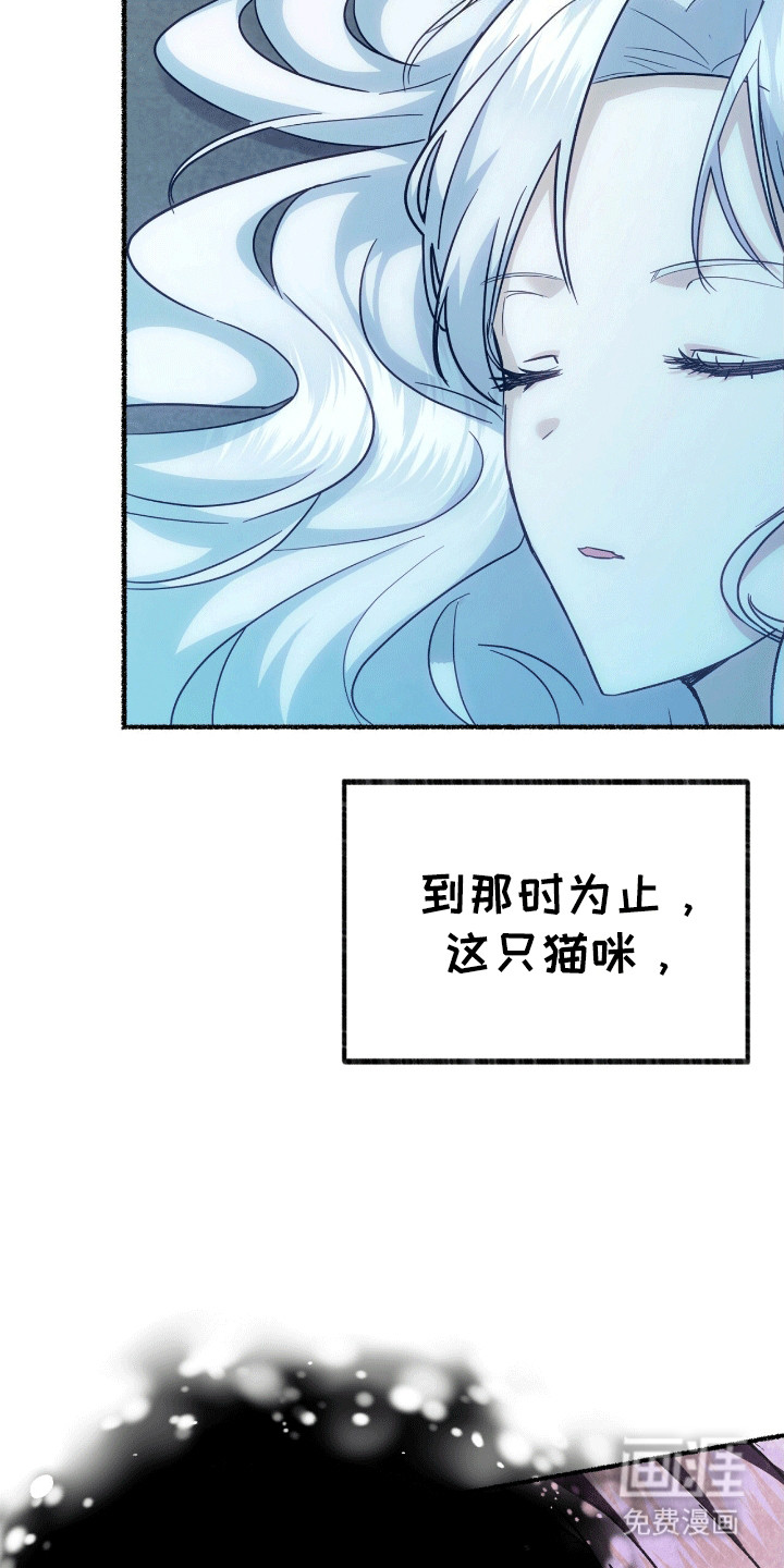 喵喵与暴君同眠第11话图