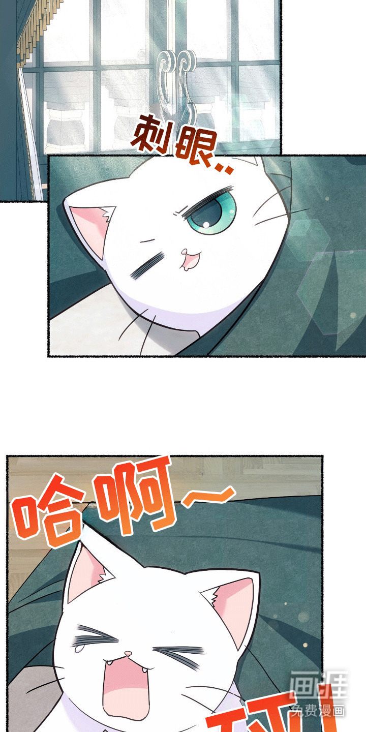 喵喵与暴君同眠第11话图