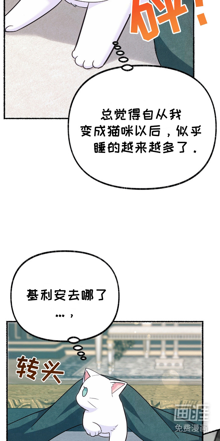 喵喵与暴君同眠第11话图