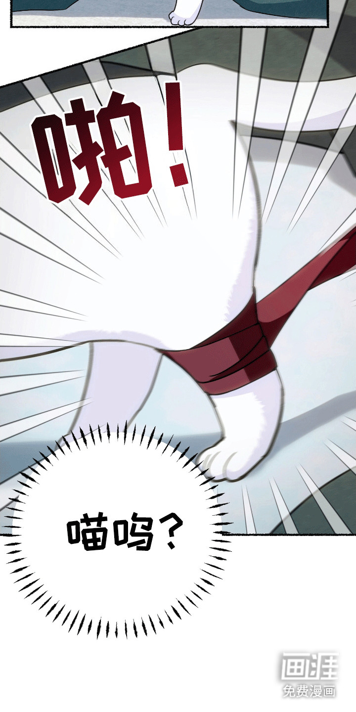 喵喵与暴君同眠第11话图
