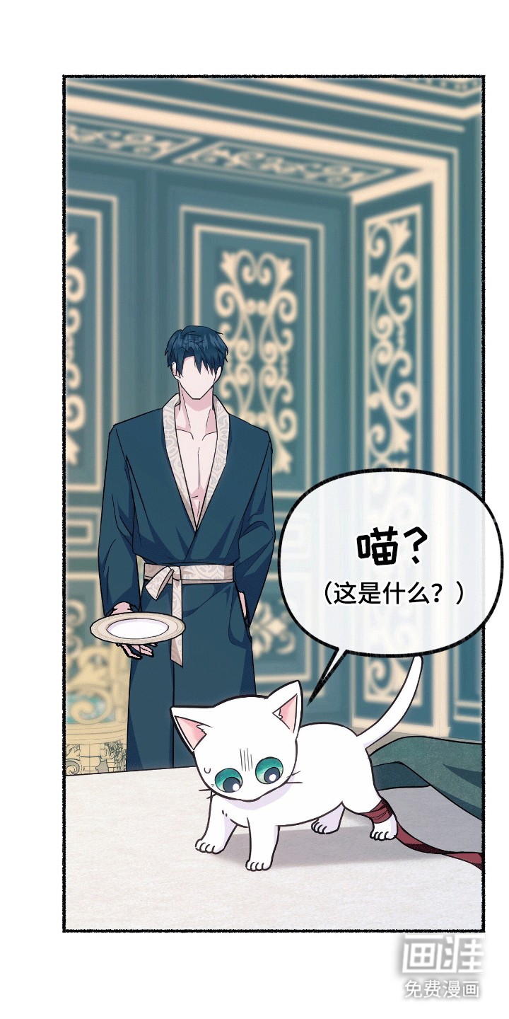 喵喵与暴君同眠第11话图