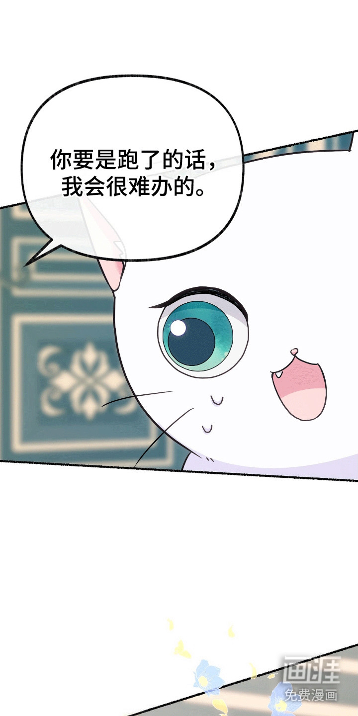 喵喵与暴君同眠第11话图