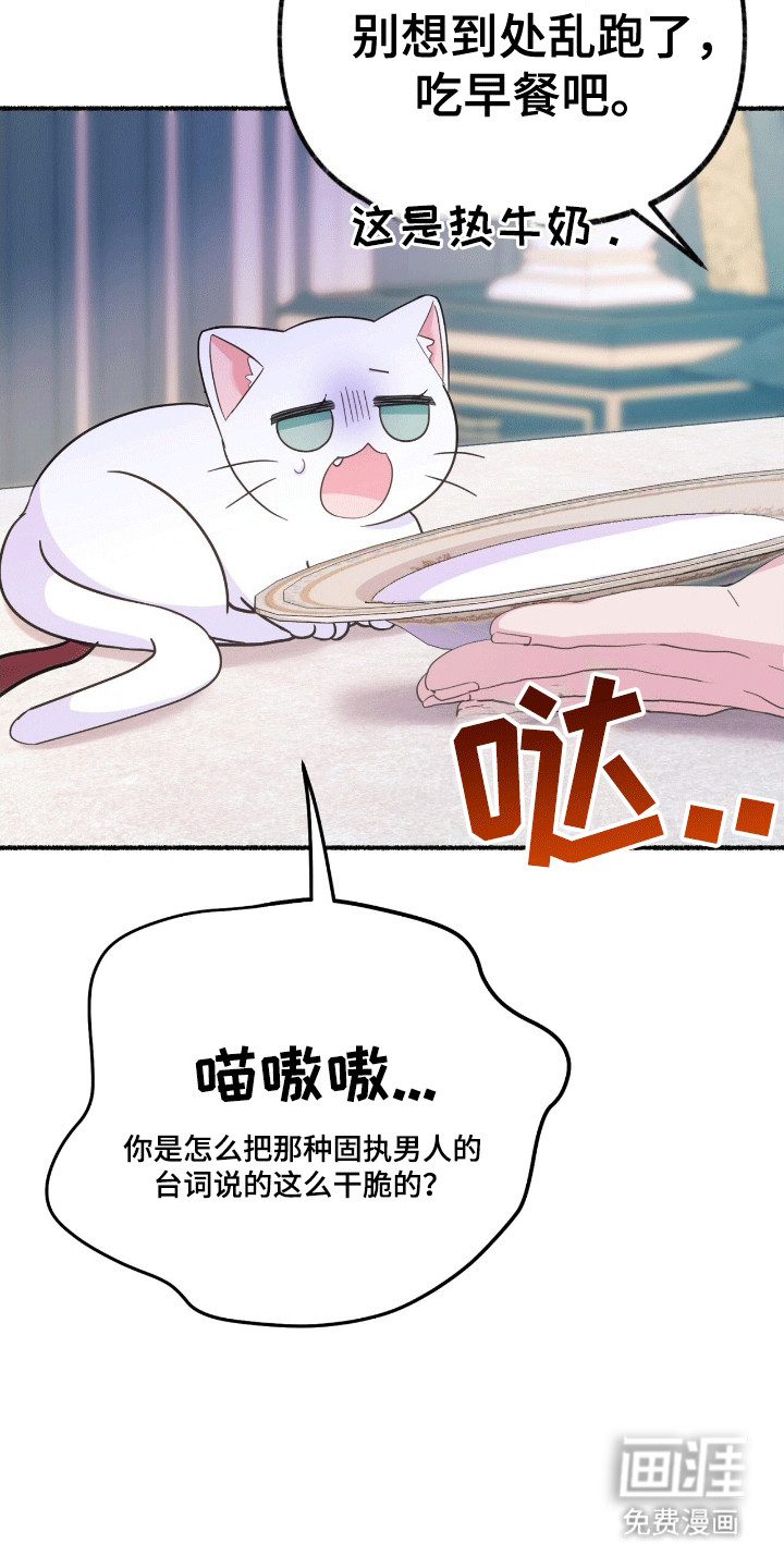 喵喵与暴君同眠第11话图