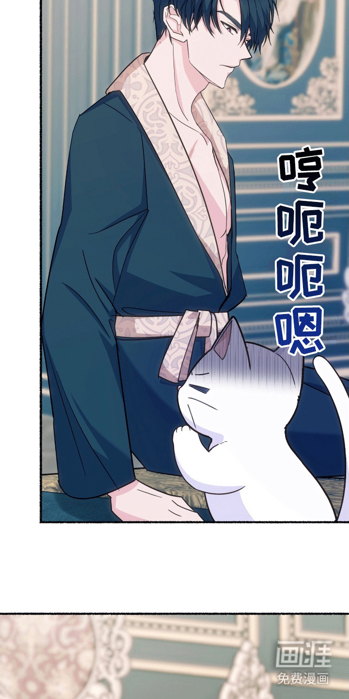 喵喵与暴君同眠第11话图