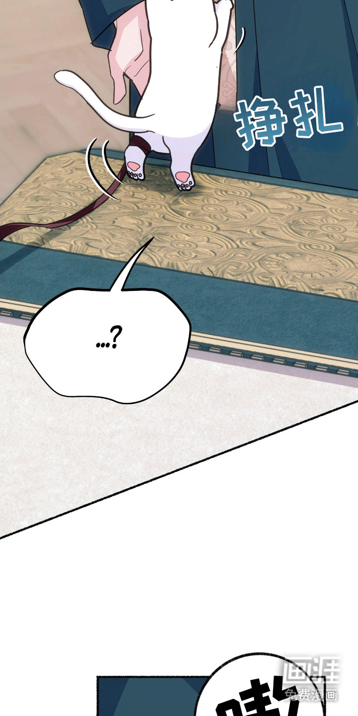 喵喵与暴君同眠第11话图