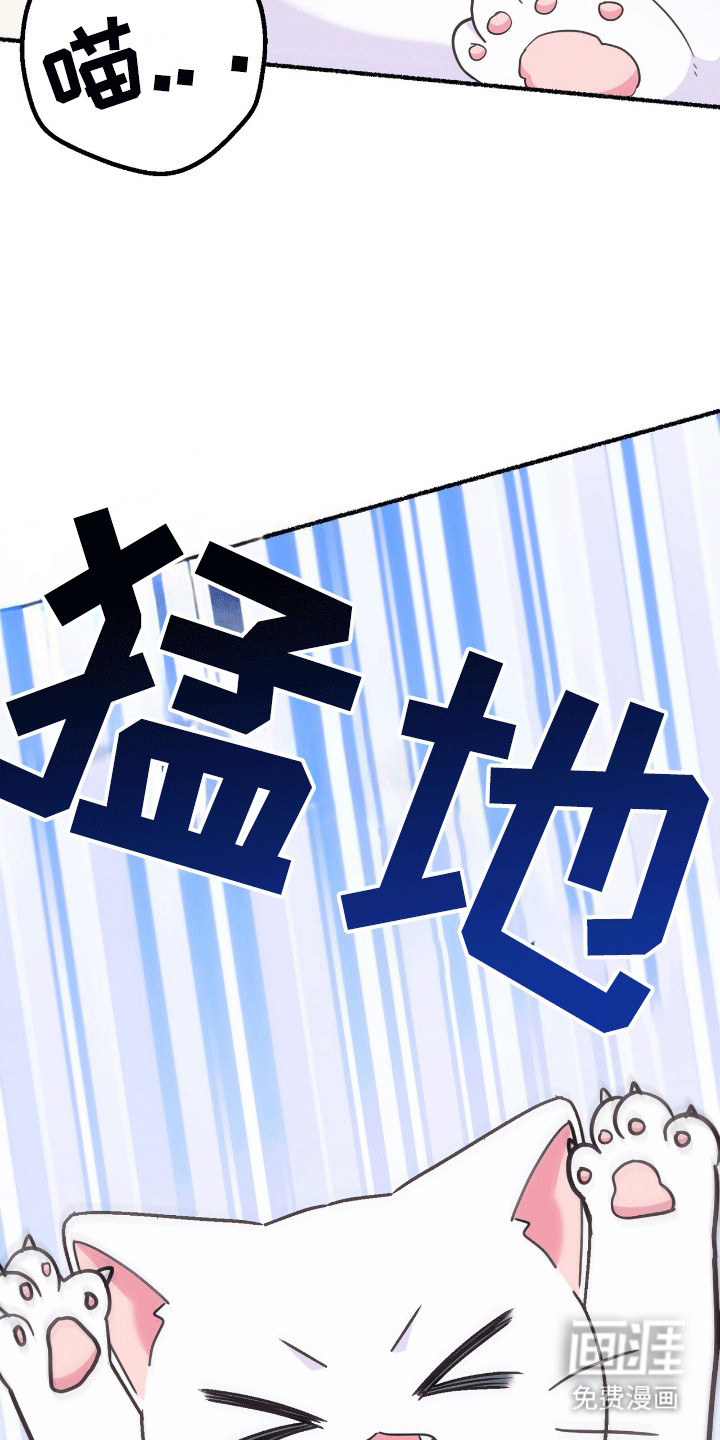 喵喵与暴君同眠第12话图