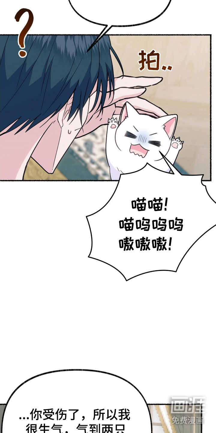 喵喵与暴君同眠第12话图
