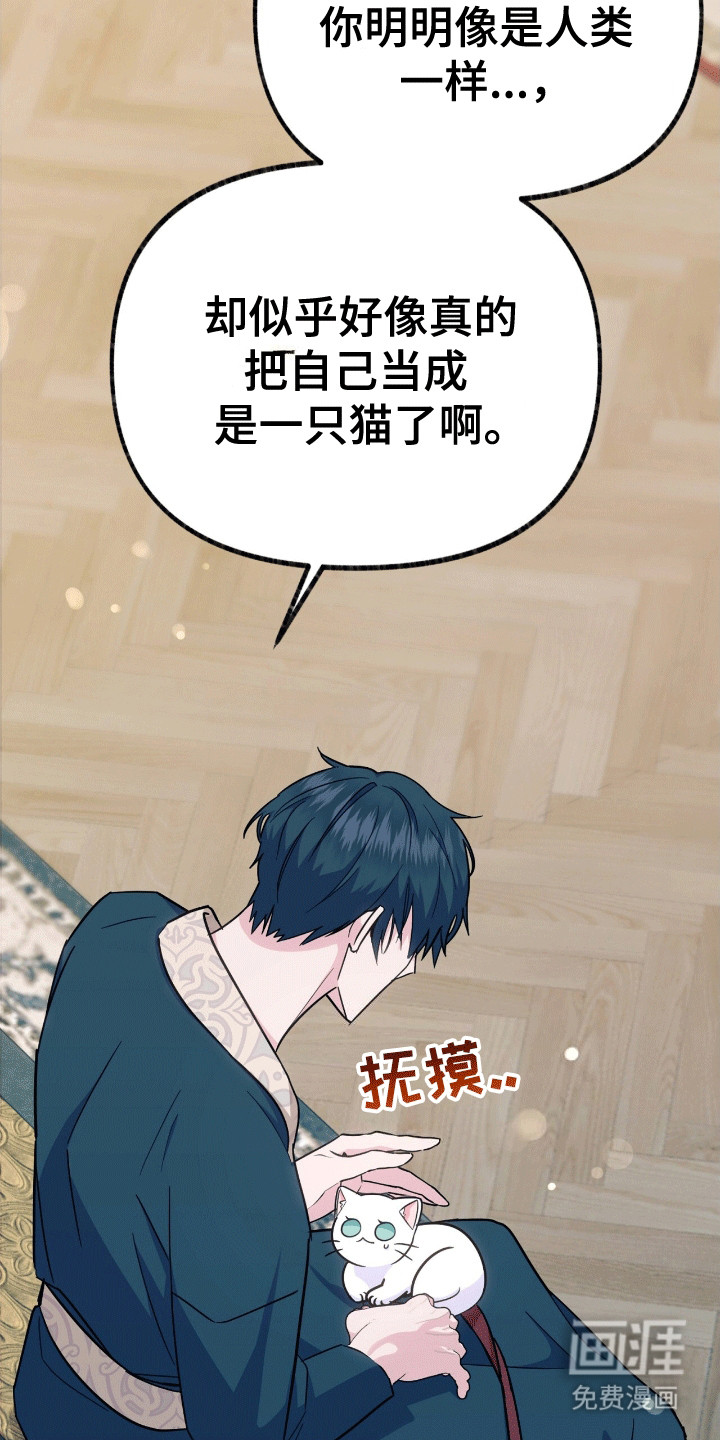 喵喵与暴君同眠第12话图