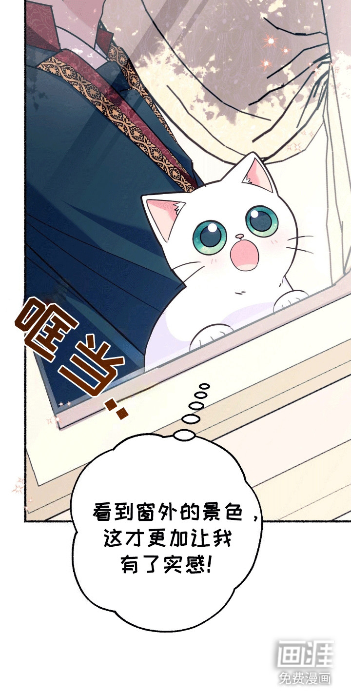 喵喵与暴君同眠第12话图