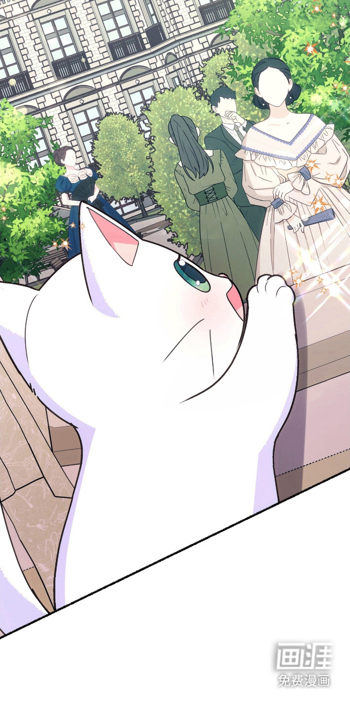 喵喵与暴君同眠第12话图