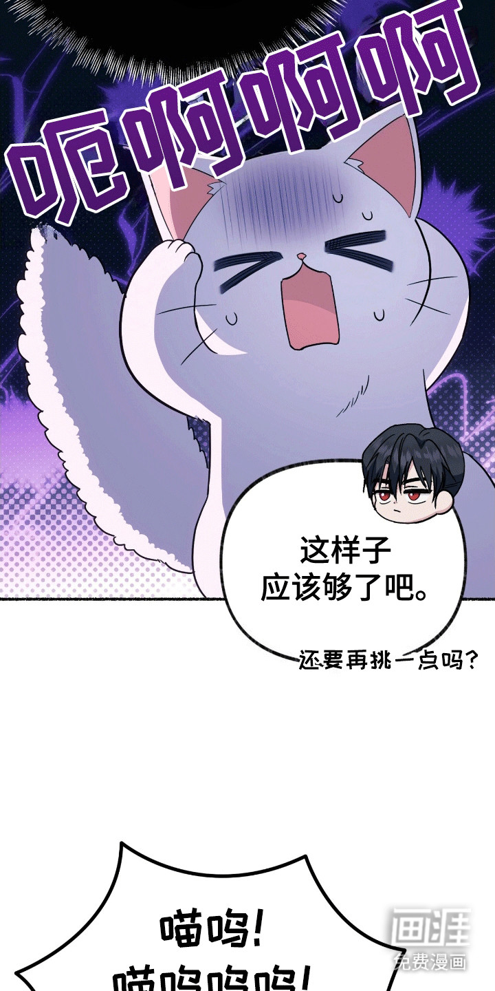 喵喵与暴君同眠第13话图