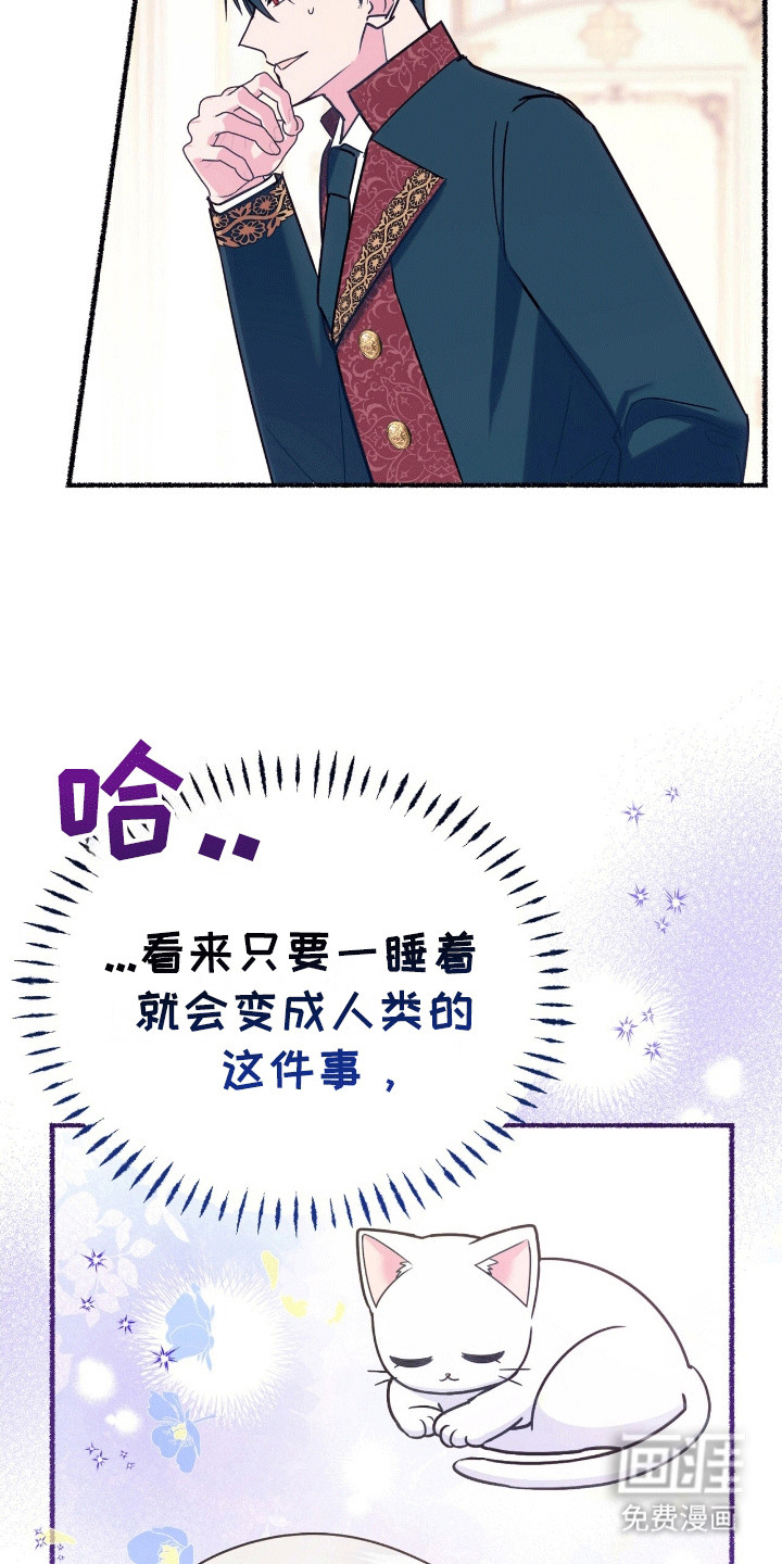 喵喵与暴君同眠第13话图