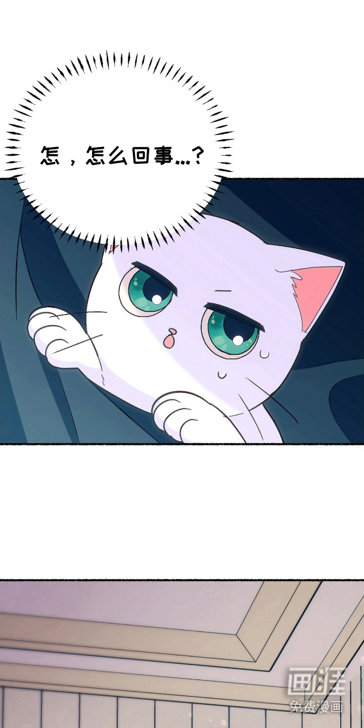 喵喵与暴君同眠第13话图