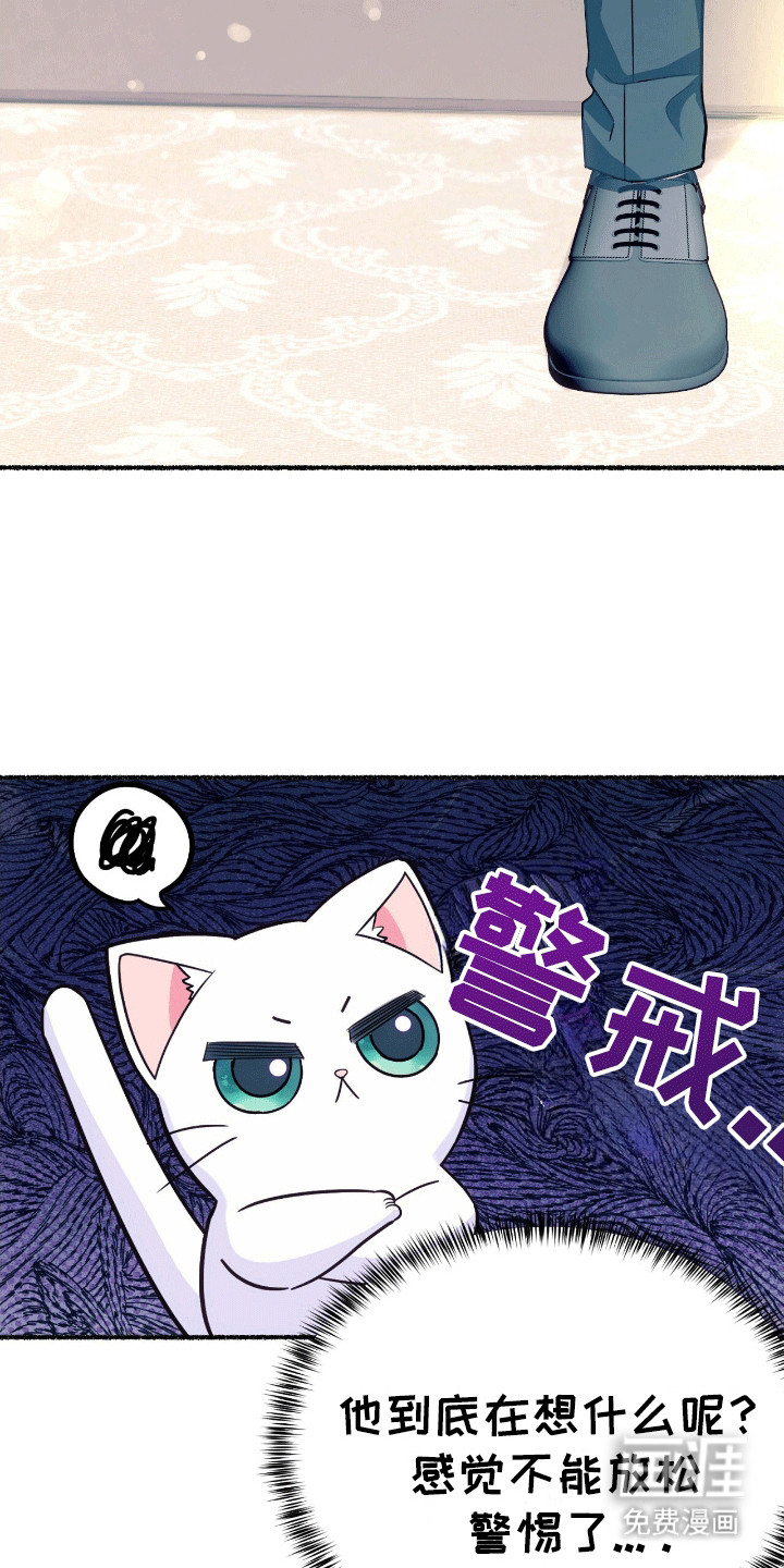 喵喵与暴君同眠第13话图