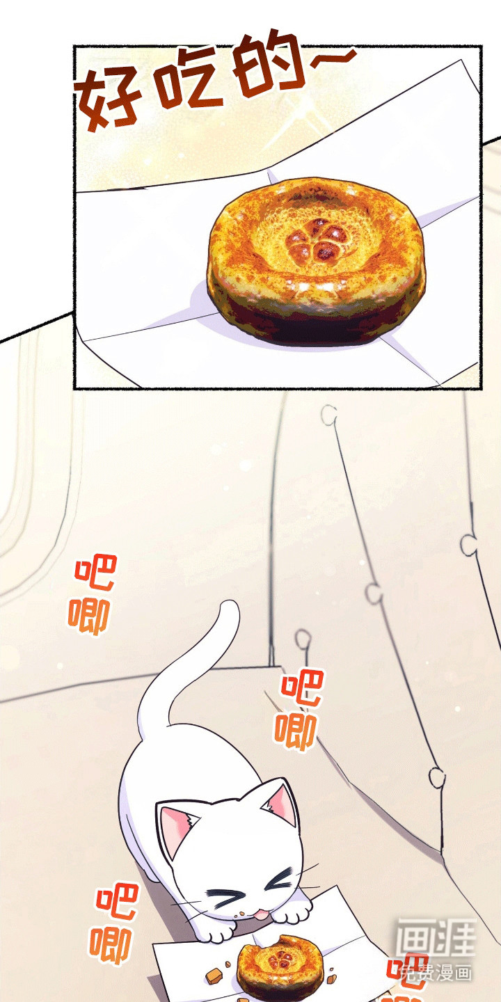 喵喵与暴君同眠第13话图