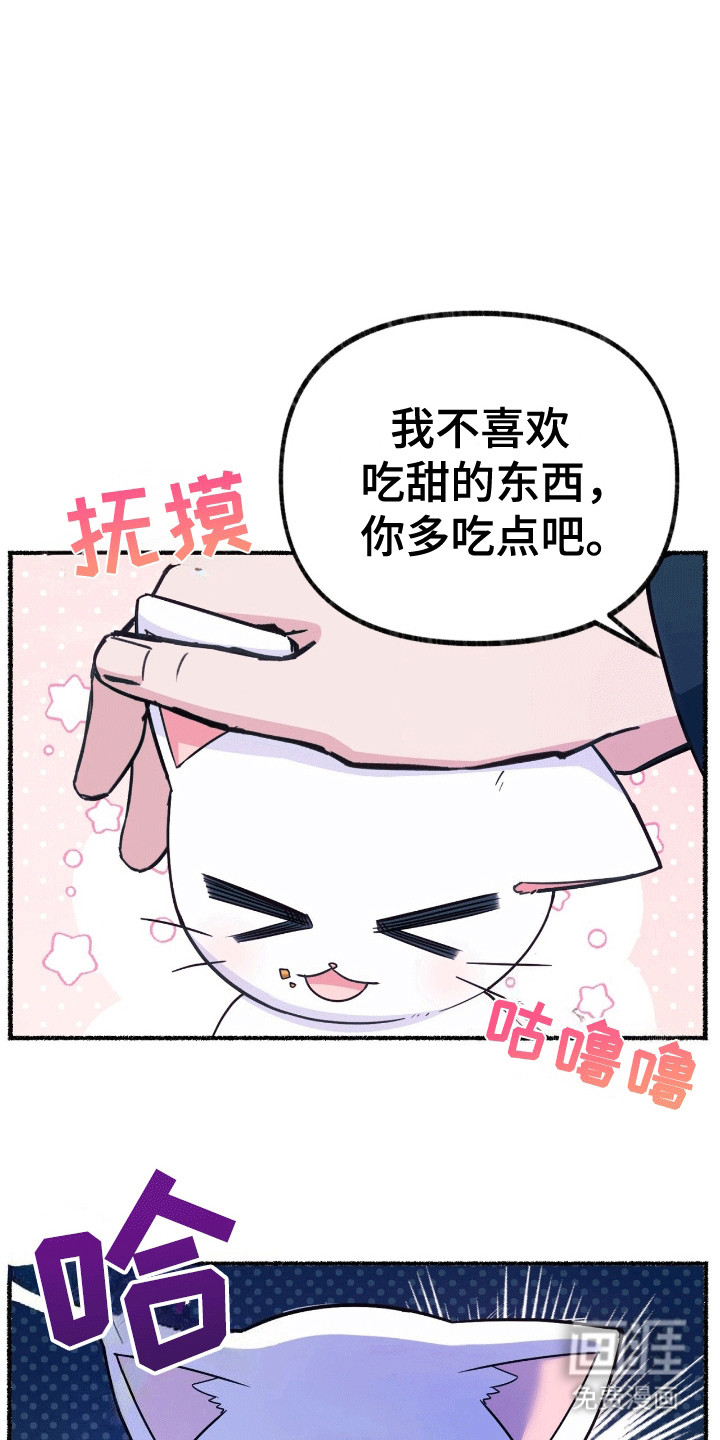 喵喵与暴君同眠第13话图